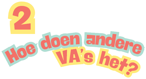 Hoe doen andere virtual assistants het?